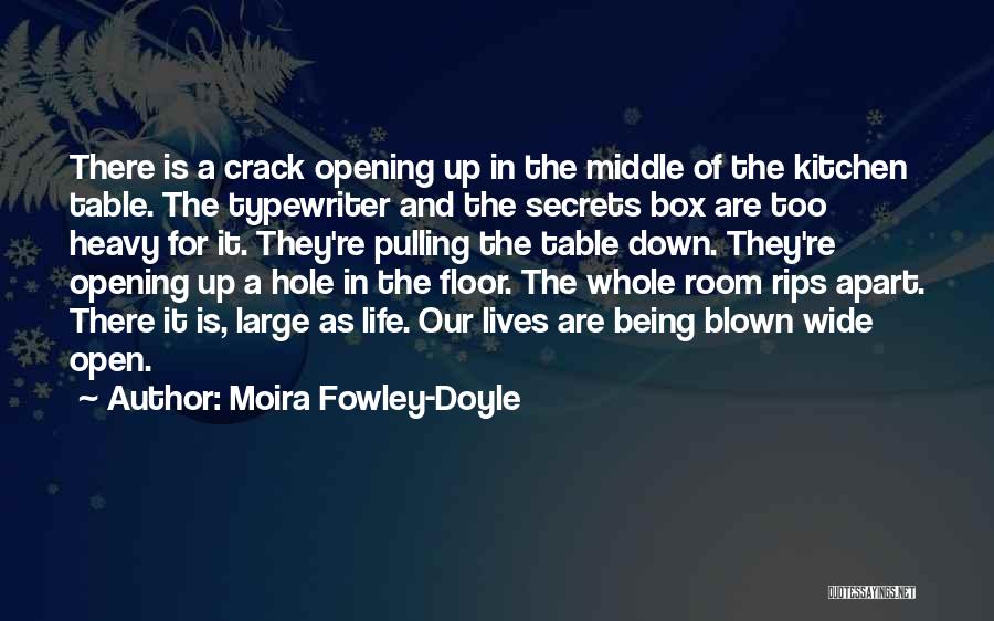 Open Secrets Quotes By Moira Fowley-Doyle