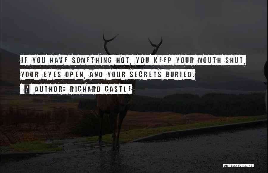 Open Secrets Quotes By Richard Castle