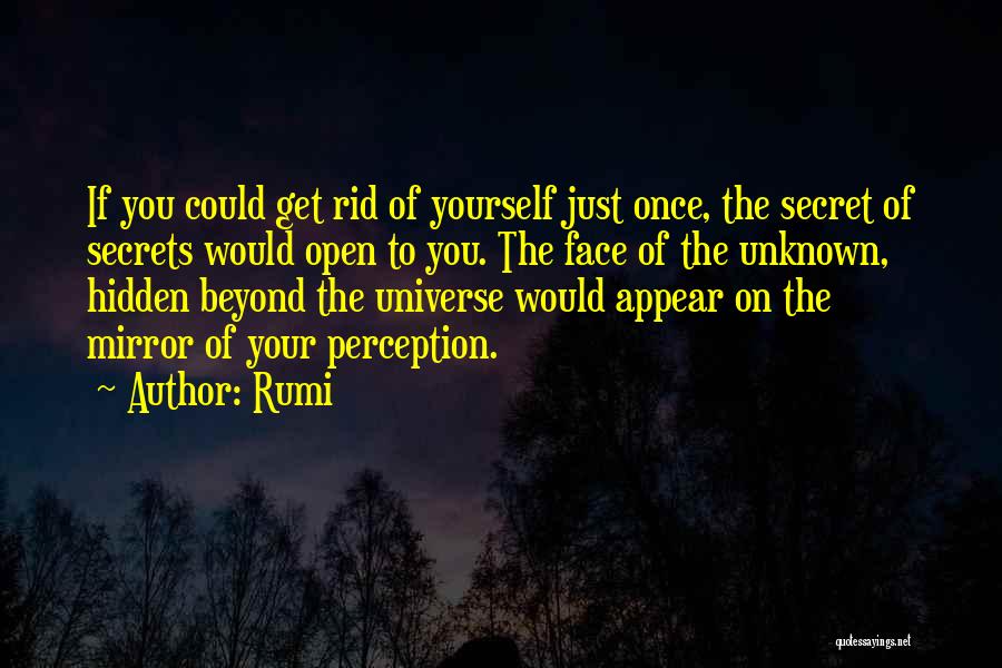 Open Secrets Quotes By Rumi