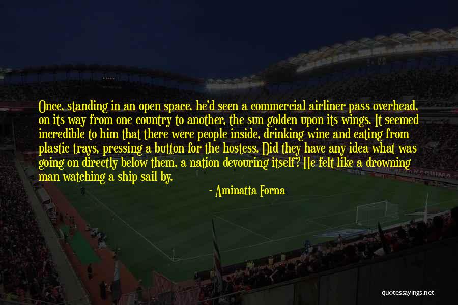 Open The Wings Quotes By Aminatta Forna Open The Wings Quotes By Aminatta Forna