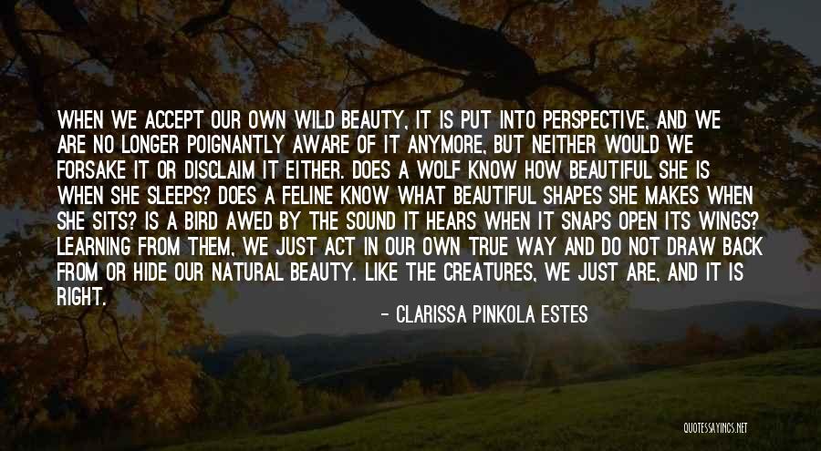 Open The Wings Quotes By Clarissa Pinkola Estes Open The Wings Quotes By Clarissa Pinkola Estes