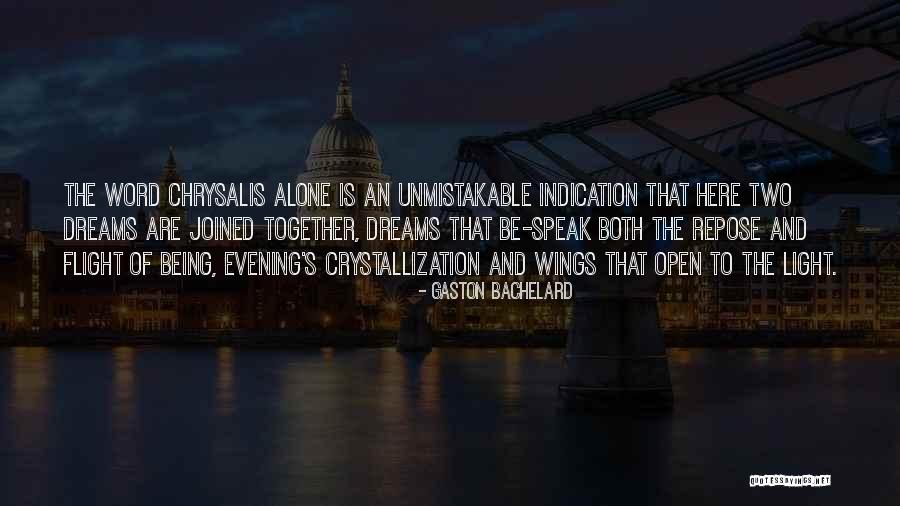 Open The Wings Quotes By Gaston Bachelard Open The Wings Quotes By Gaston Bachelard