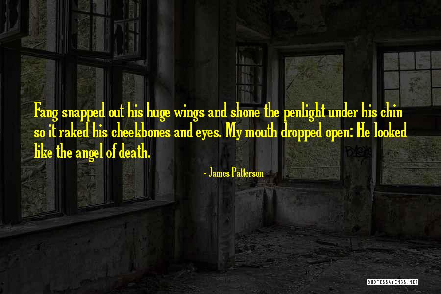Open The Wings Quotes By James Patterson Open The Wings Quotes By James Patterson