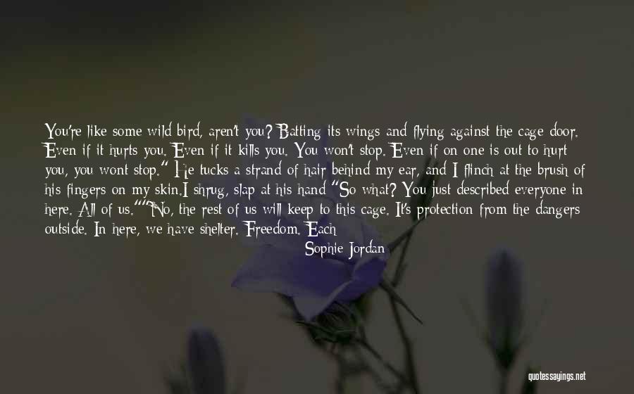 Open The Wings Quotes By Sophie Jordan Open The Wings Quotes By Sophie Jordan