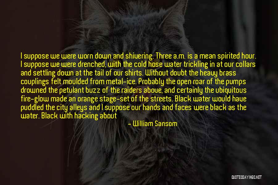 Open Water Quotes By William Sansom Open Water Quotes By William Sansom