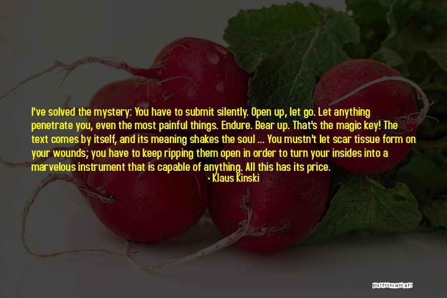 Open Wounds Quotes By Klaus Kinski Open Wounds Quotes By Klaus Kinski
