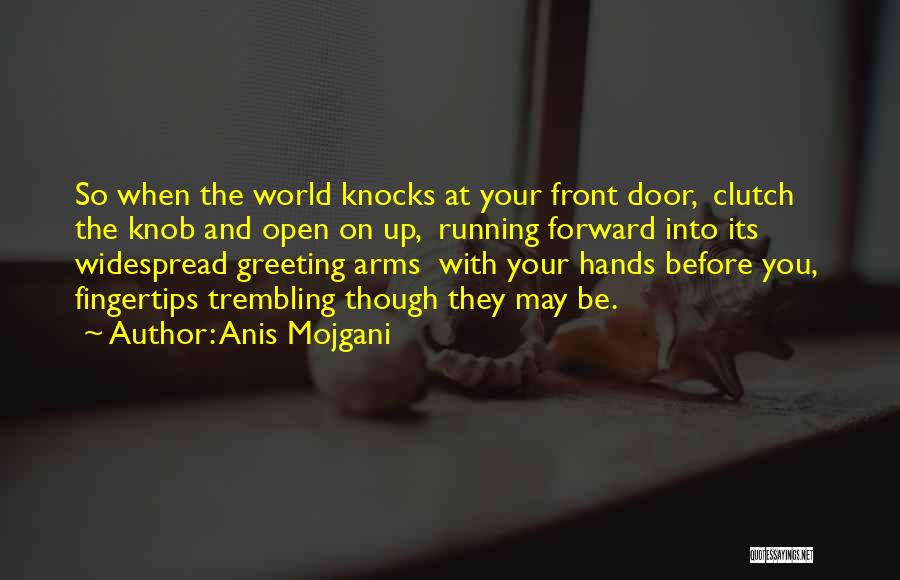 Open Your Arms Quotes By Anis Mojgani