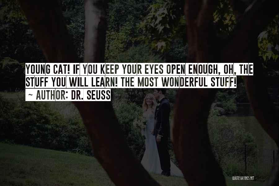 Open Your Eye Quotes By Dr. Seuss