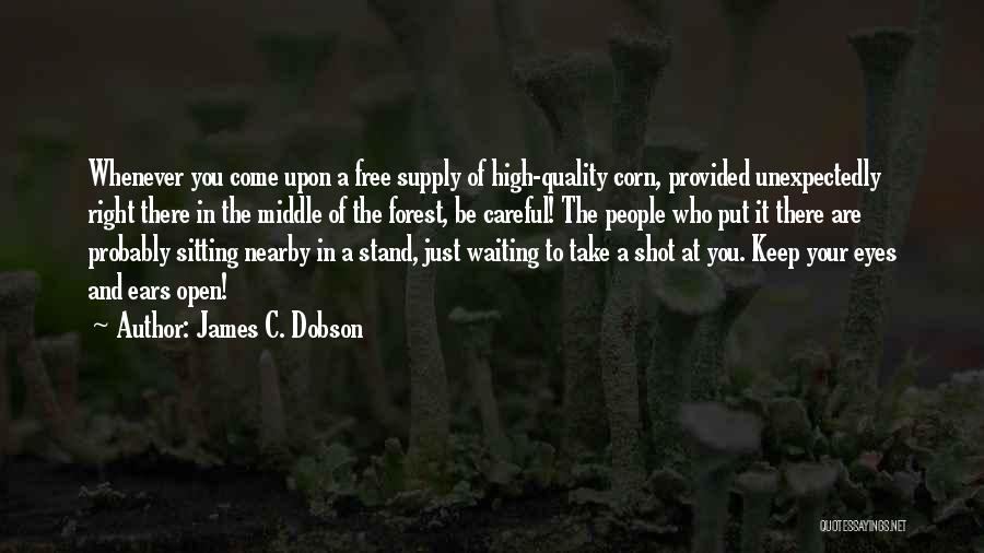 Open Your Eyes And Ears Quotes By James C. Dobson