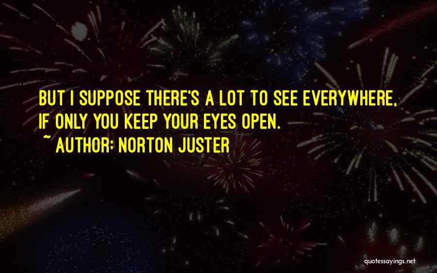 Open Your Eyes To See Quotes By Norton Juster