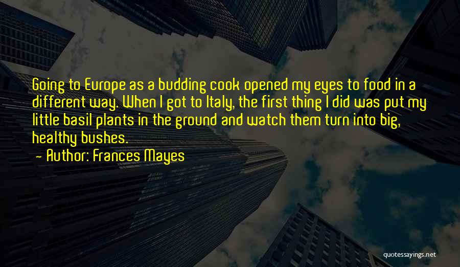 Opened Eyes Quotes By Frances Mayes