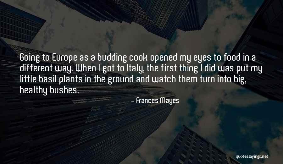 Opened Ones Eyes Quotes By Frances Mayes Opened Ones Eyes Quotes By Frances Mayes