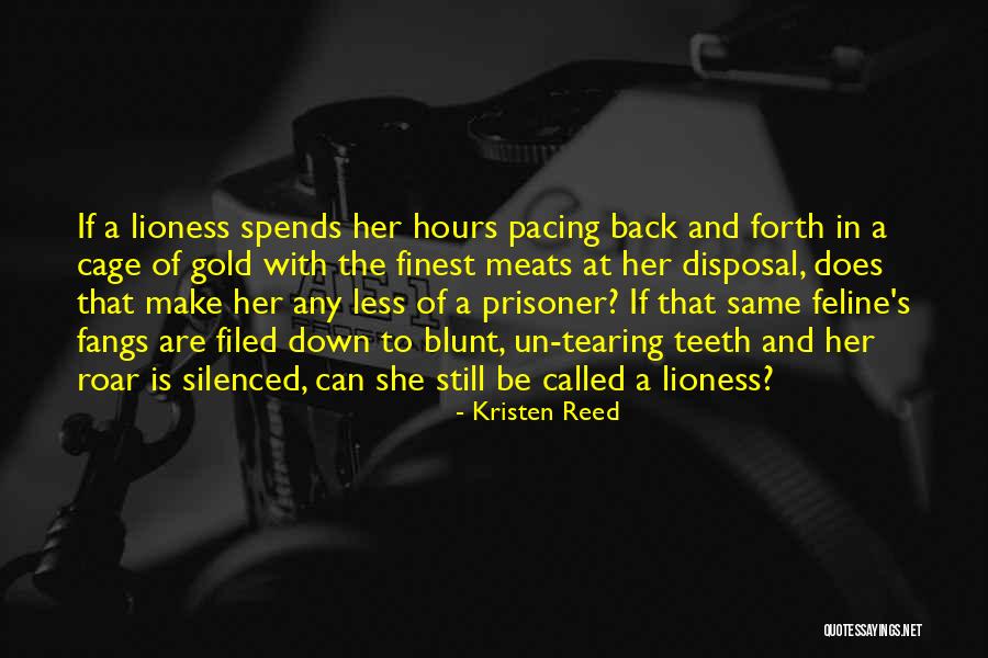 Opening Lines Fiction Quotes By Kristen Reed Opening Lines Fiction Quotes By Kristen Reed