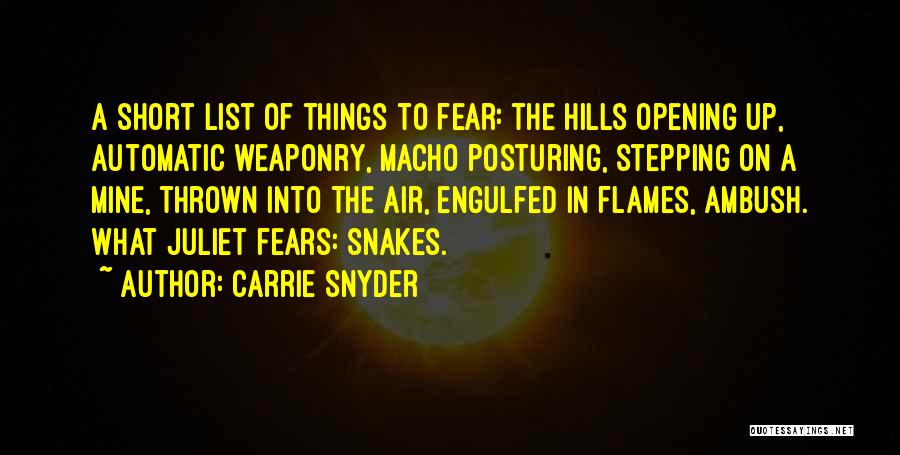 Opening Quotes By Carrie Snyder