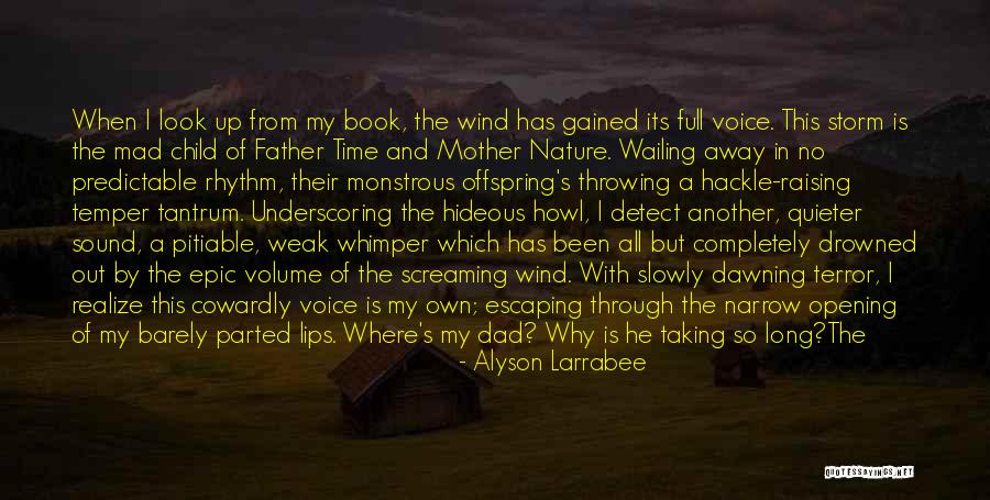 Opening Windows Quotes By Alyson Larrabee