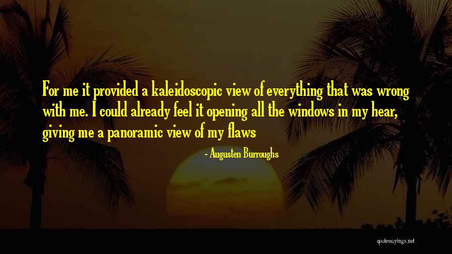 Opening Windows Quotes By Augusten Burroughs