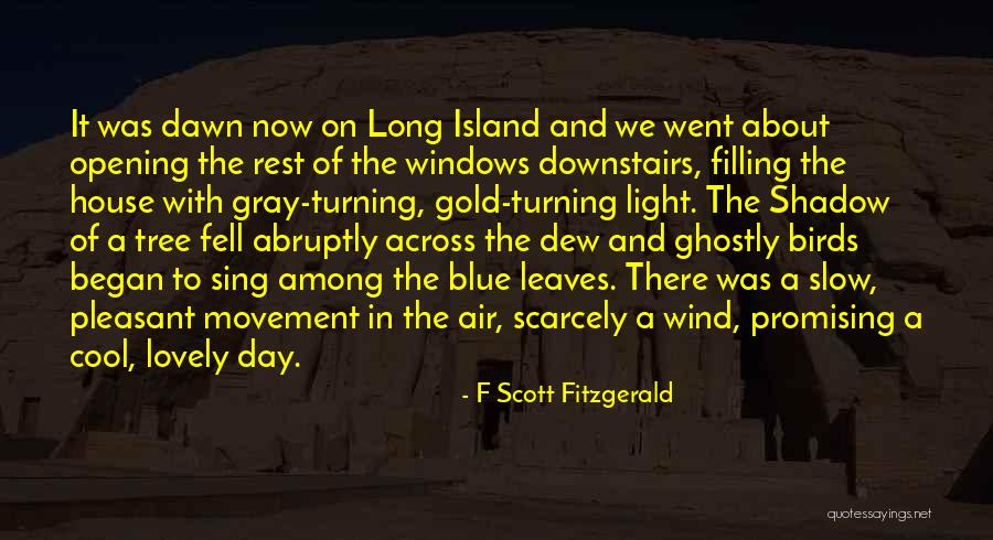 Opening Windows Quotes By F Scott Fitzgerald