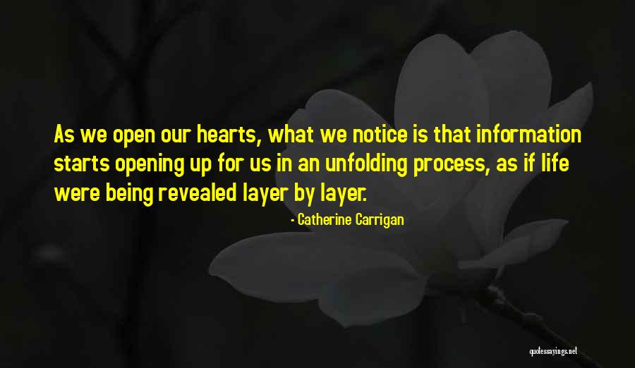 Opening Your Life Up To Others Quotes By Catherine Carrigan Opening Your Life Up To Others Quotes By Catherine Carrigan