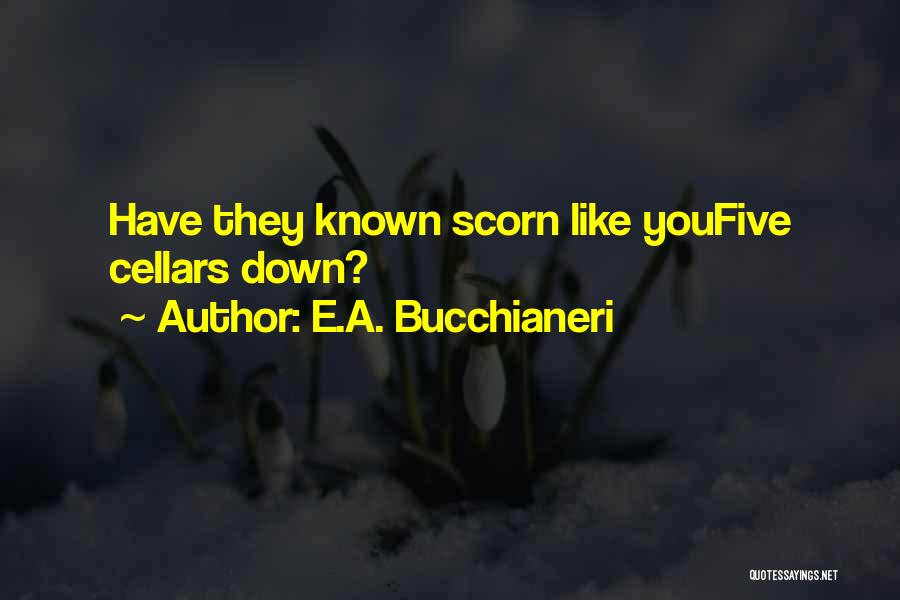 Opera House Quotes By E.A. Bucchianeri