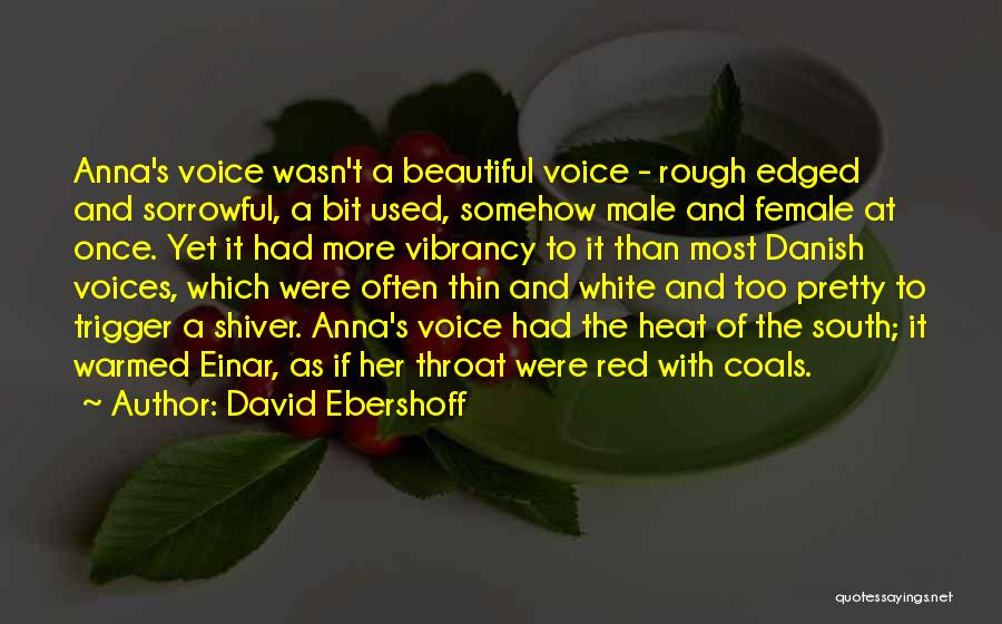 Opera Singing Quotes By David Ebershoff