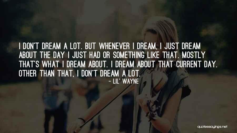 Operable Skylights Quotes By Lil' Wayne Operable Skylights Quotes By Lil' Wayne