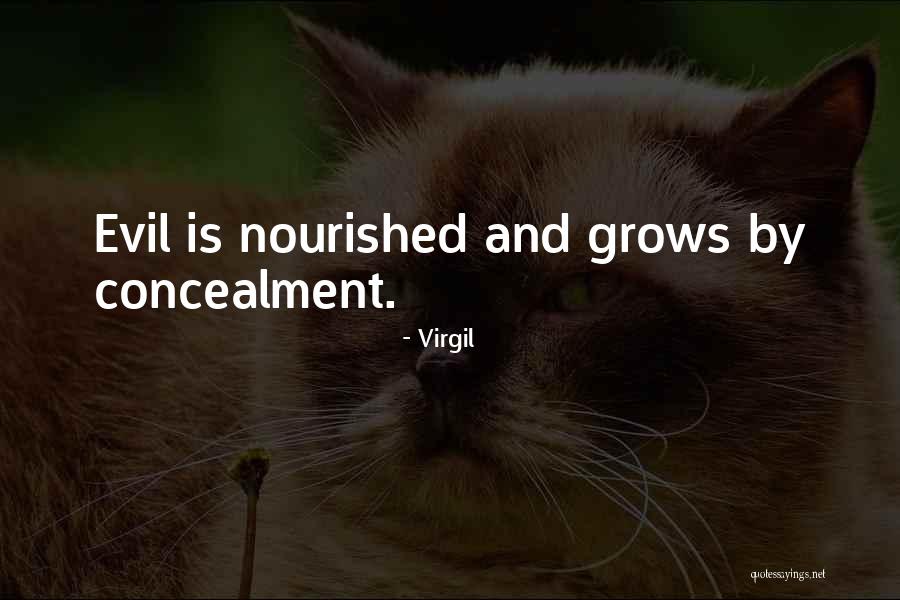 Operations And Functions Quotes By Virgil