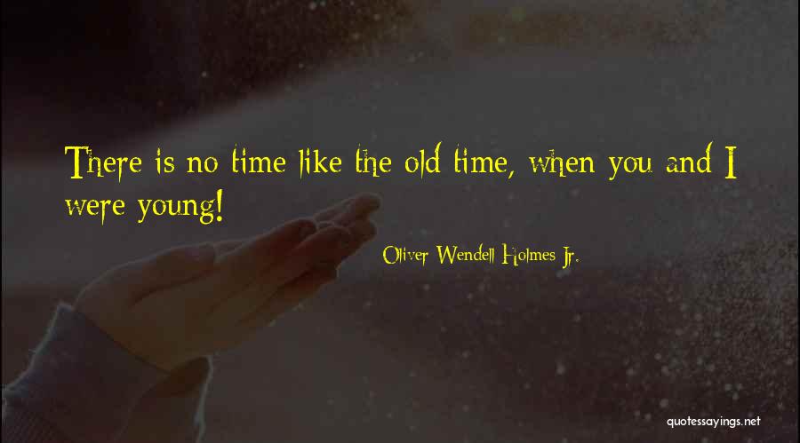 Operose Manufacturing Quotes By Oliver Wendell Holmes Jr.
