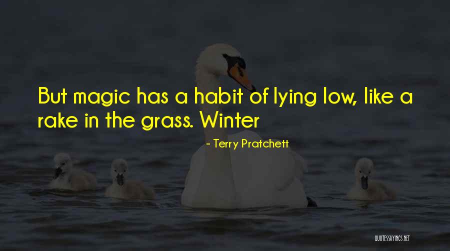 Opgeruimd Betekenis Quotes By Terry Pratchett