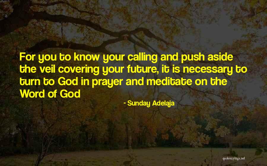 Ophthalmia Quotes By Sunday Adelaja Ophthalmia Quotes By Sunday Adelaja