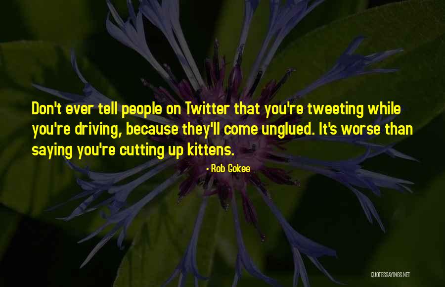 Opice Blum Quotes By Rob Gokee Opice Blum Quotes By Rob Gokee