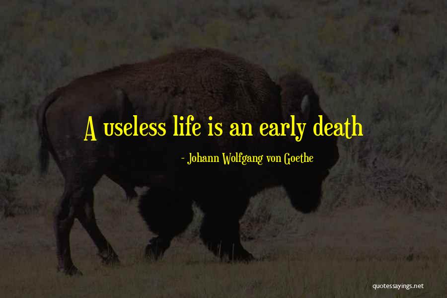 Opika Quotes By Johann Wolfgang Von Goethe Opika Quotes By Johann Wolfgang Von Goethe