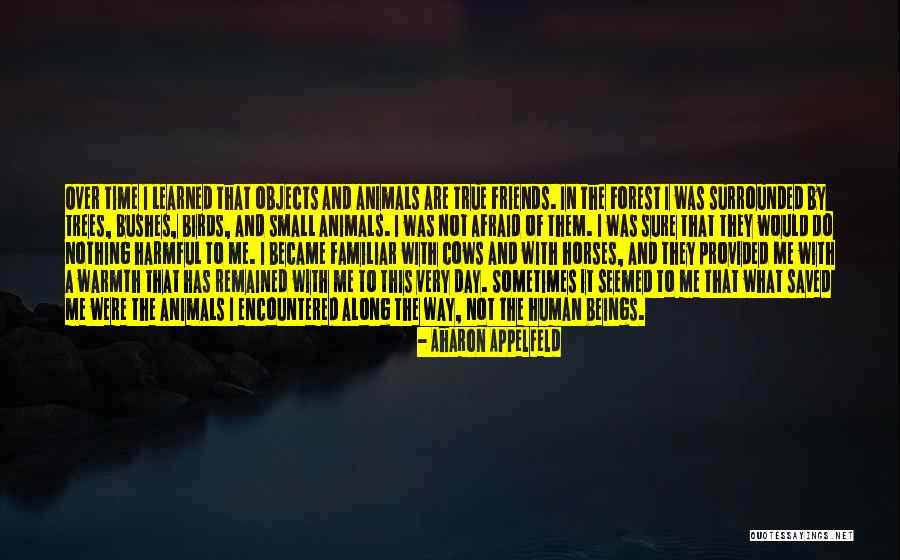 Opiniatre Quotes By Aharon Appelfeld Opiniatre Quotes By Aharon Appelfeld