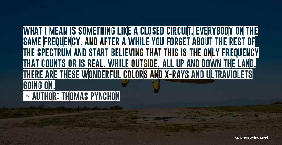 Opinion Counts Quotes By Thomas Pynchon