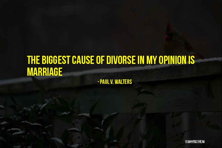 Opinion Is Quotes By Paul V. Walters Opinion Is Quotes By Paul V. Walters