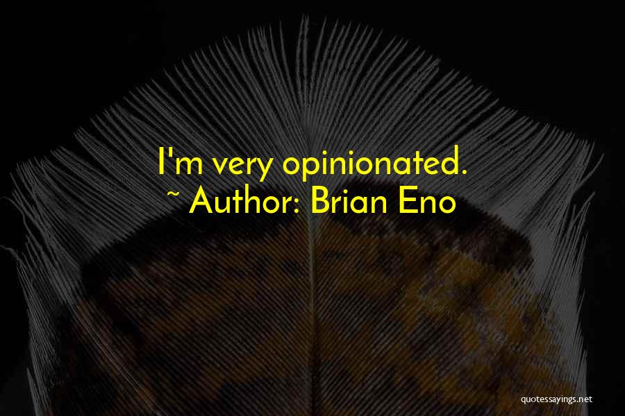 Opinionated Quotes By Brian Eno