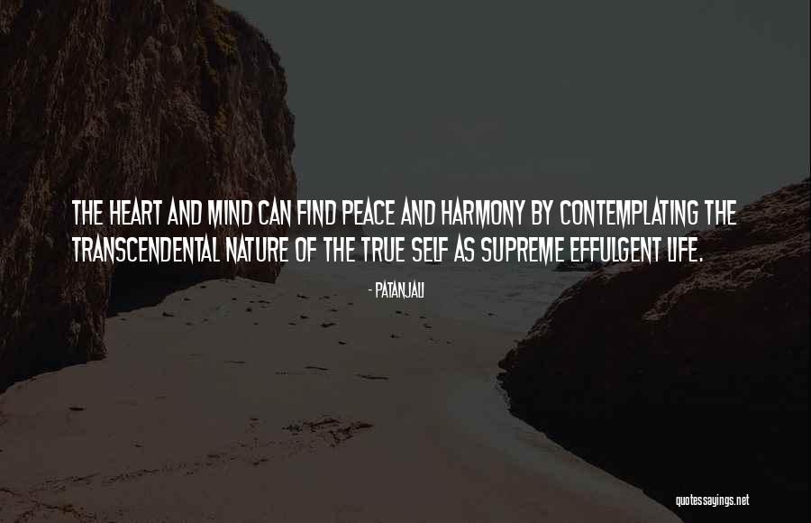 Opojno Sinonimi Quotes By Patanjali Opojno Sinonimi Quotes By Patanjali