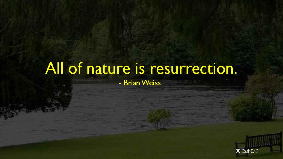 Opowiesci Z Narnii Srebrne Krzeslo Quotes By Brian Weiss Opowiesci Z Narnii Srebrne Krzeslo Quotes By Brian Weiss