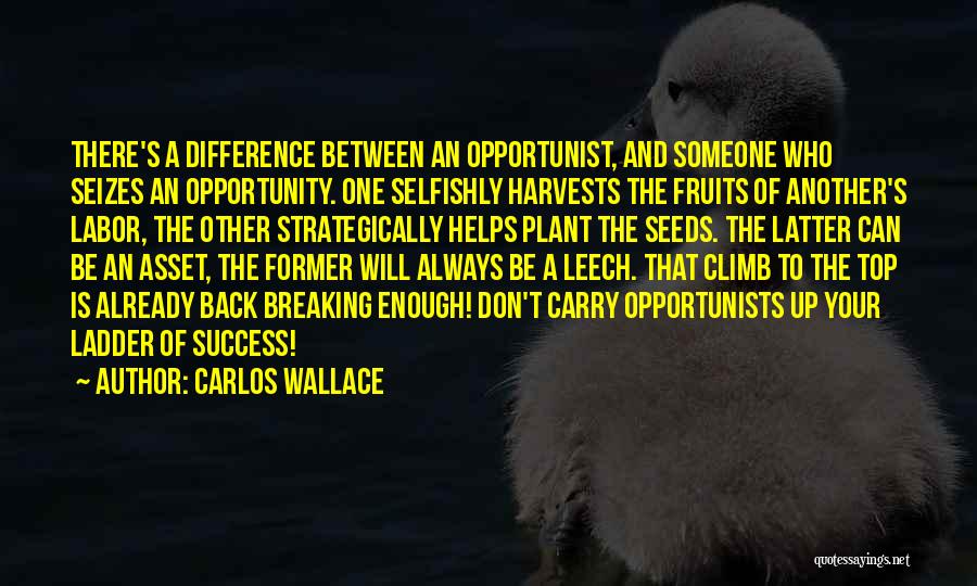 Opportunist Quotes By Carlos Wallace