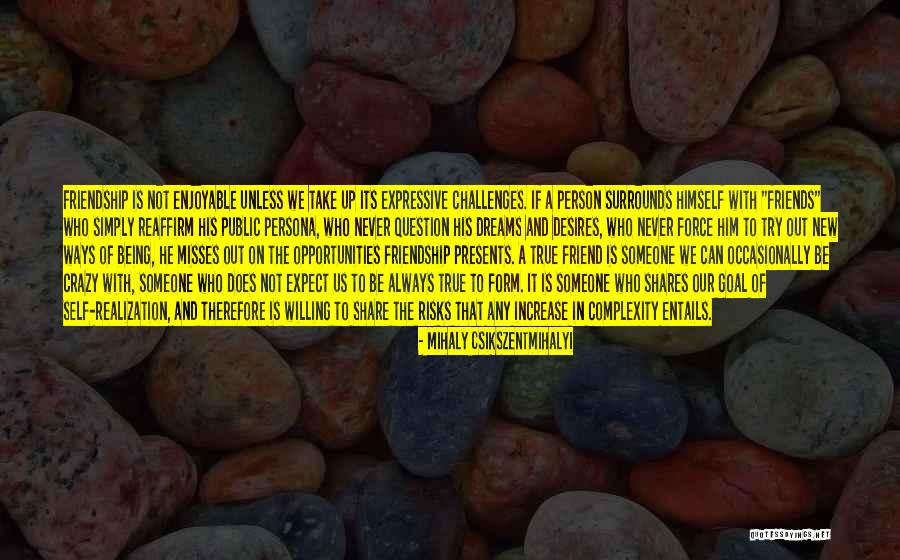 Opportunities And Challenges Quotes By Mihaly Csikszentmihalyi