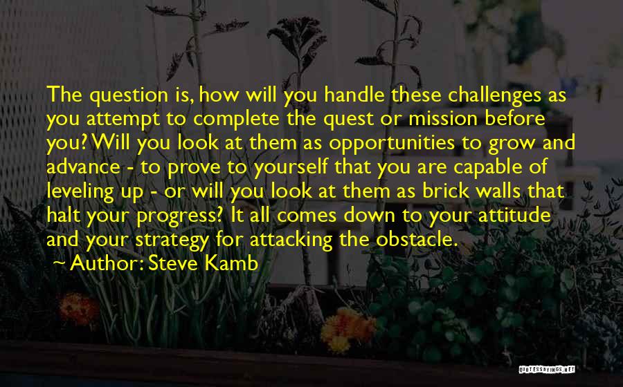 Opportunities And Challenges Quotes By Steve Kamb