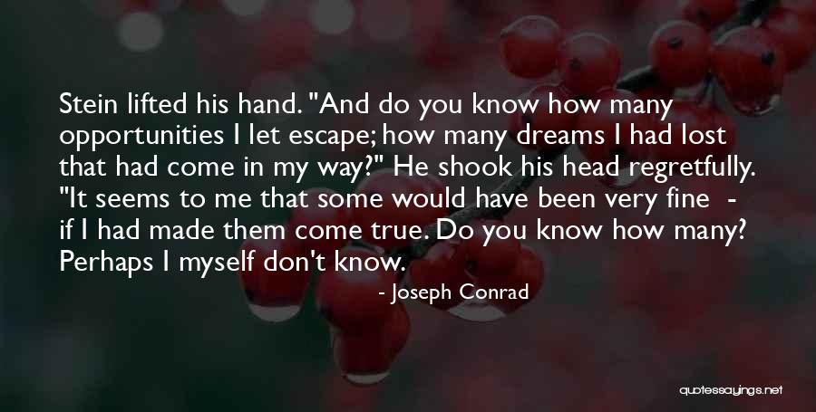 Opportunities Lost Quotes By Joseph Conrad Opportunities Lost Quotes By Joseph Conrad