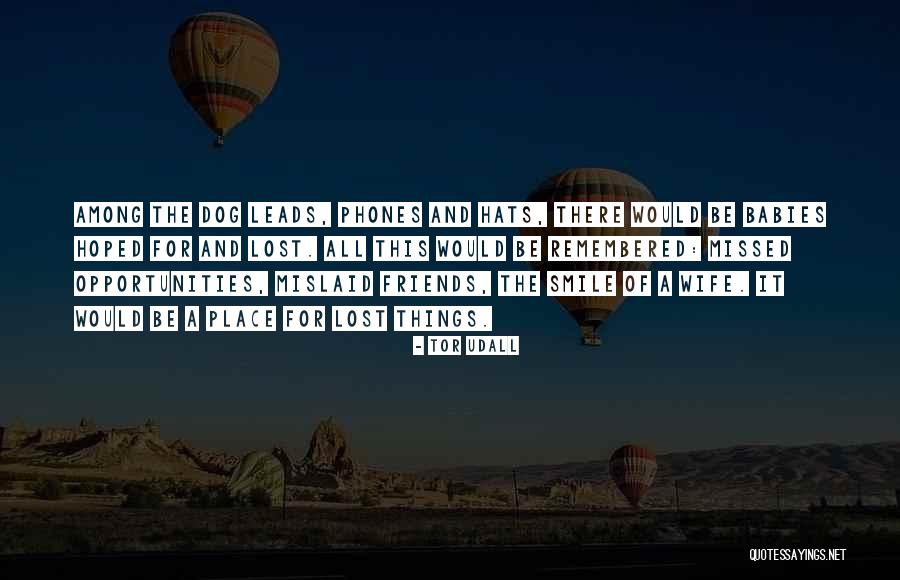 Opportunities Lost Quotes By Tor Udall Opportunities Lost Quotes By Tor Udall