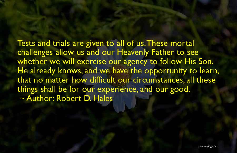 Opportunity And Challenges Quotes By Robert D. Hales