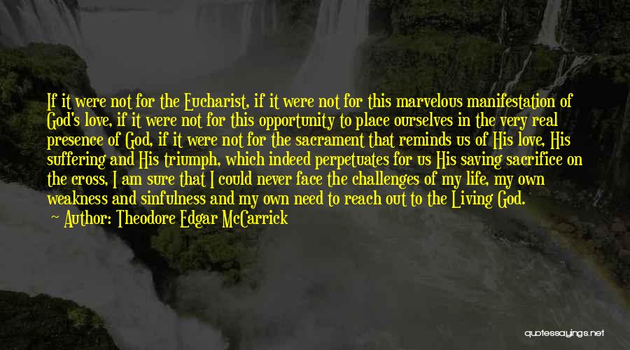 Opportunity And Challenges Quotes By Theodore Edgar McCarrick