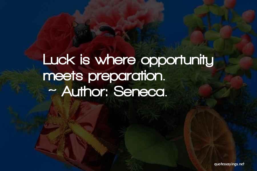 Opportunity And Preparation Quotes By Seneca.