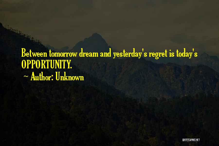 Opportunity And Regret Quotes By Unknown