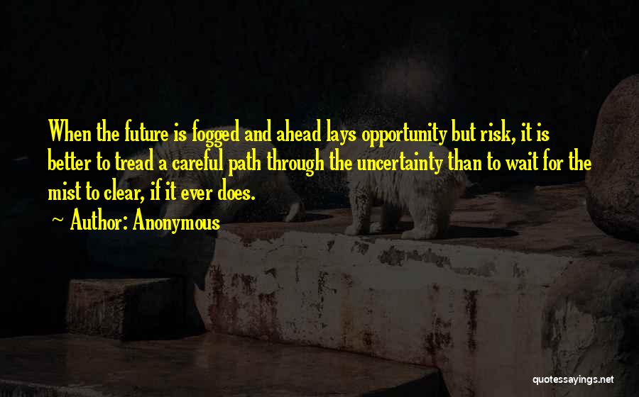 Opportunity And Risk Quotes By Anonymous