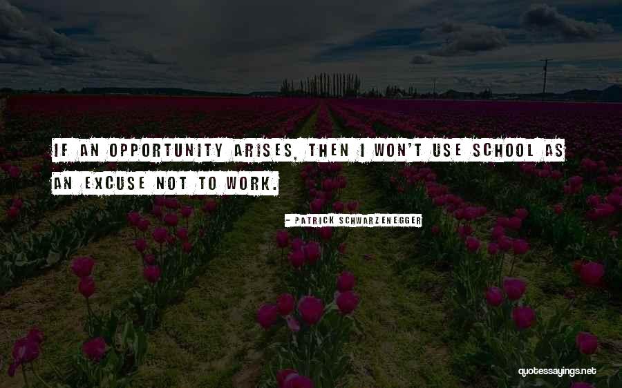 Opportunity Arises Quotes By Patrick Schwarzenegger Opportunity Arises Quotes By Patrick Schwarzenegger