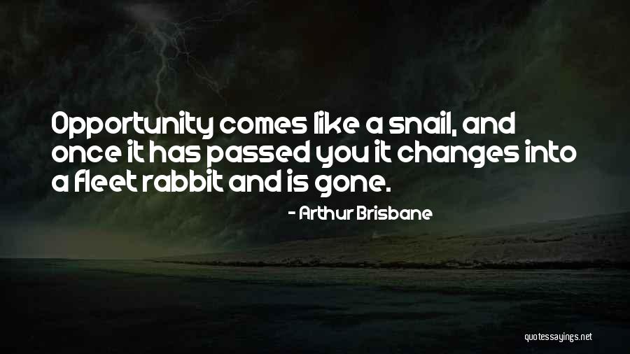 Opportunity Comes Quotes By Arthur Brisbane