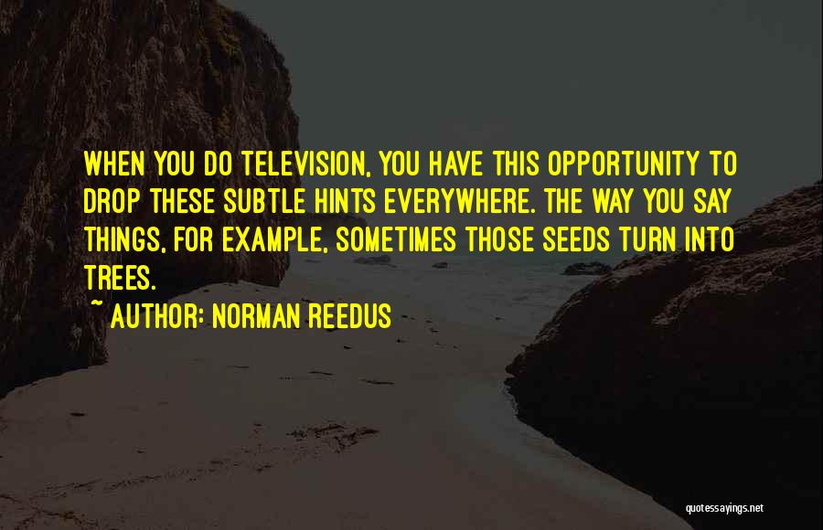 Opportunity Everywhere Quotes By Norman Reedus